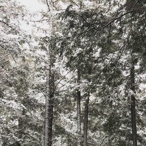 Meet your Posher, Logan